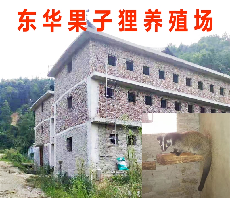 東華果子貍養殖場的圖標